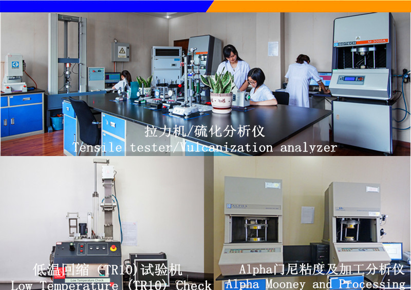 Chenguang Fluoro & Silicone Polymer Co.,Ltd